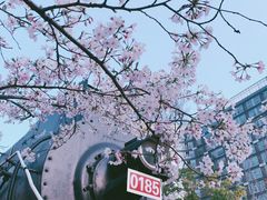 -新天地活力PARK