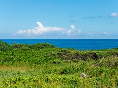 -龙坑生态保护区