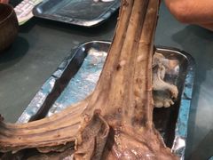 -诺敏塔拉奶茶-布里亚特包子-手把肉(锦都会店)