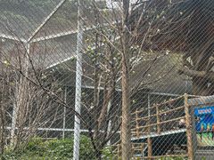 -合肥野生动物园