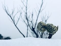 -尚贤河湿地