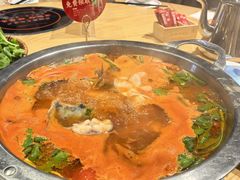 -老凯俚酸汤鱼(多彩城店)