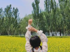 -长白岛森林公园