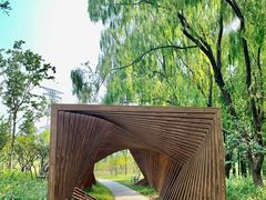 -昆山城市生态森林公园