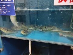 -永安鱼庄·镇江菜(丁卯店)