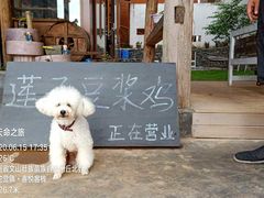 -夏屿湖畔.落日湖景餐厅(普者黑景区店)