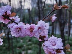 -西安市长乐公园