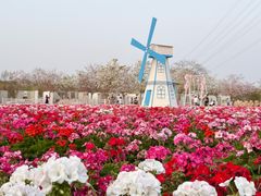 -盈香心动乐园