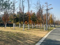 -皇粮浜湿地公园