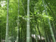 -苏州环秀晓筑养生度假村