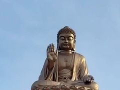 -龙口南山旅游景区