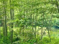 -千泷沟大瀑布旅游区