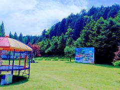 -四明山国家森林公园