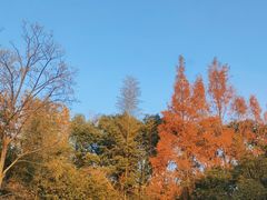 -上海吴淞炮台湾国家湿地公园