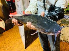 -咱屯子铁锅炖(洪楼店)