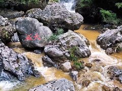 -华蓥山天意谷景区