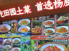 -杨厨的田园饭店(长城路店)
