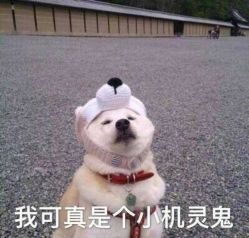 -朗峰专业美发沙龙