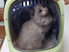 -宠颐生中康贝怡动物医院