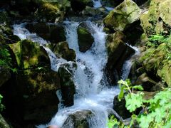 -鹿院坪生态旅游景区