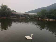 -无锡动物园·太湖欢乐园