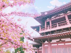 -西安青龙寺遗址景区