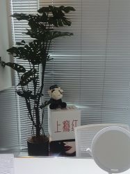 -纯粹医美