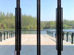 -东平国家森林公园