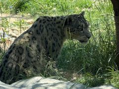 -青藏高原野生动物园