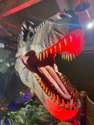 -恐龙探索乐园(磁器口店)