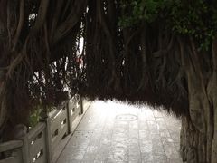 -乌山风景区