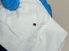 -谐和贝康宠物医院24小时·宠保定点(急重症转诊中心)