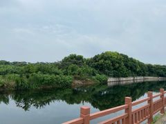 -南汇水蜜桃采摘(大团店)