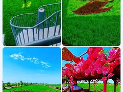 -稻梦空间