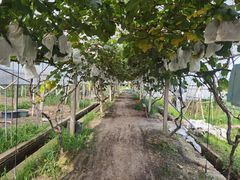 -美家乐农庄·露营·团建(大治路店)