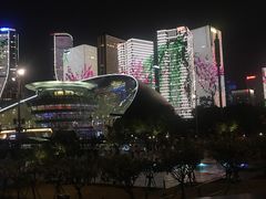 -钱江新城灯光秀