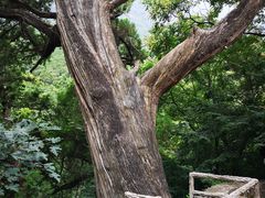 -北京上方山国家森林公园