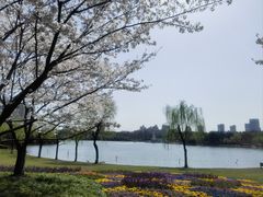 -黄兴公园