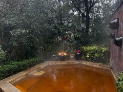 -天目湖涵田半山温泉