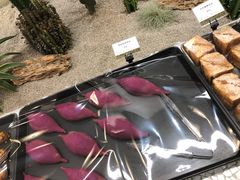 -OUR Bakery(SKP-S店)