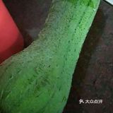 肉沫水瓜汤，夏天多喝汤，好喝不上火