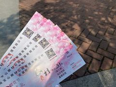 -顾村公园