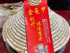-火焰金龟甲(汉阳江滩旗舰店)
