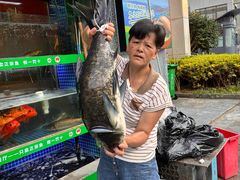 -水边人家·鱼宴餐厅·淳鱼馆(千岛湖店)