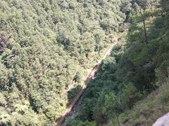 -九龙江国家森林公园