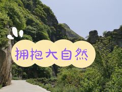 -秦岭风景区