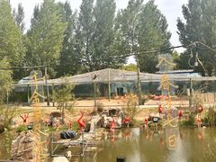 -鄂尔多斯野生动物园