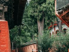 -报恩寺(平武县)