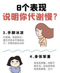-Fundi张玉珊修身堂·indiba·BTL科技瘦身