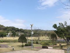 -牛岗山公园